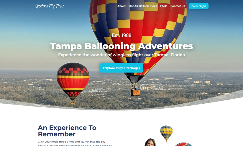 Old GottaFly website design